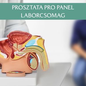 Prosztata Pro Panel Laborcsomag